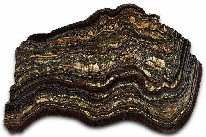 Polished Tiger Iron Stromatolite Slab - Billion Years #351802
